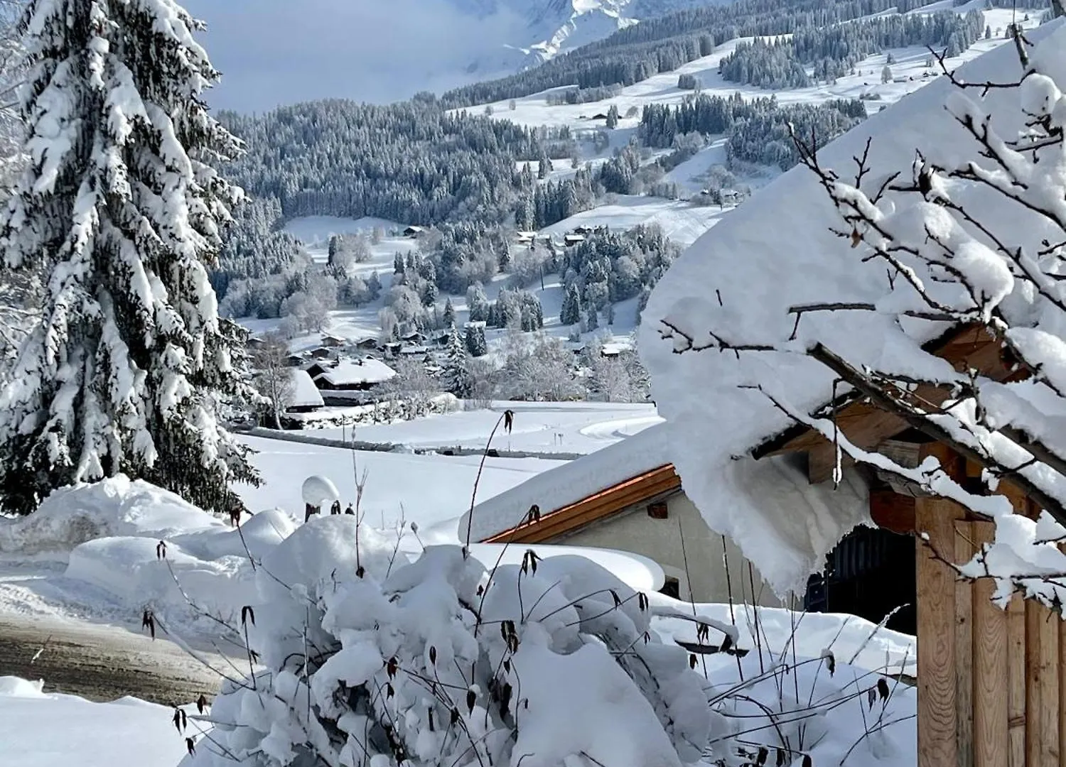 Chalet à Megève-Vauvray - Appartements tout confort, vue Mont Blanc Demi-Quartier 0*,